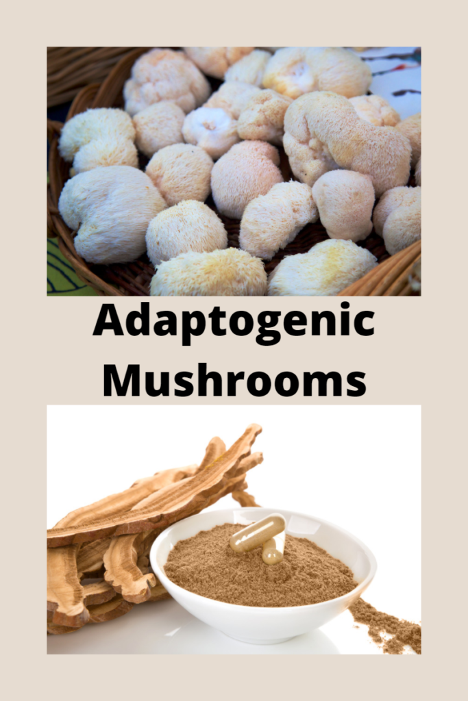 Adaptogenic Mushrooms Be Well Solutions